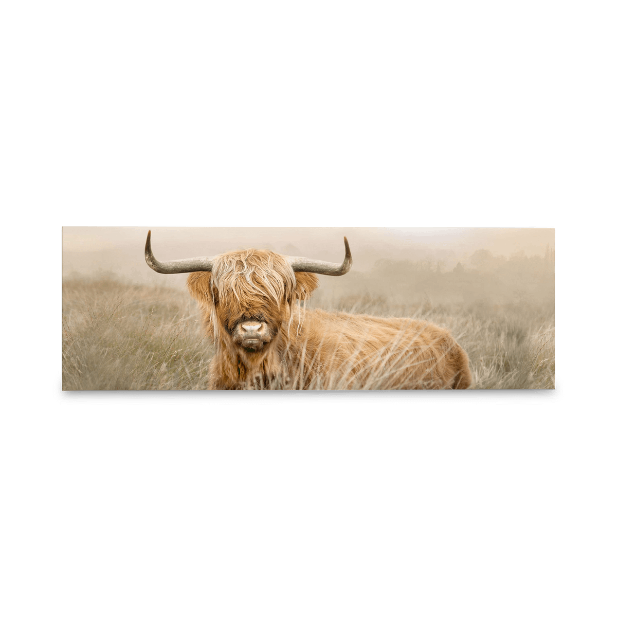Canvas REI Highlander Nature 156x52