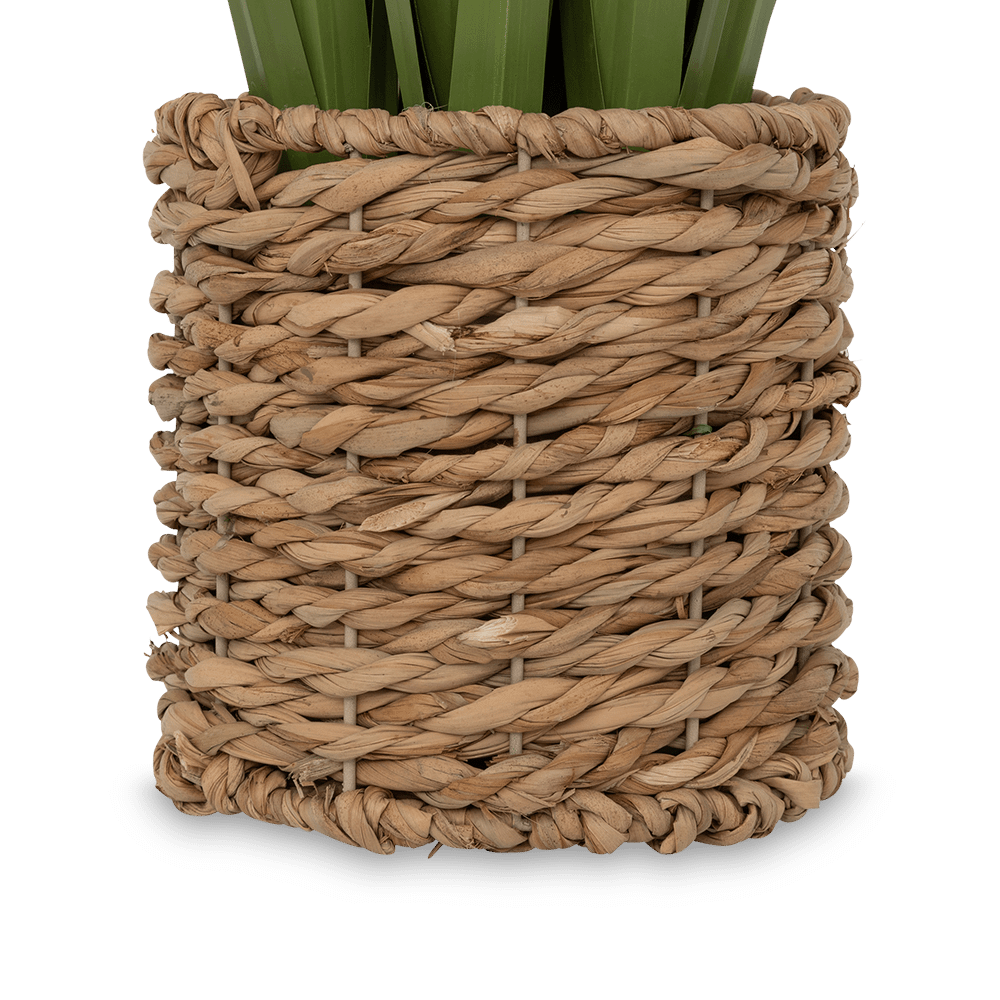 Plant Artif. ZHYA L in Mand Plant Artif. ZHYA L in Mand