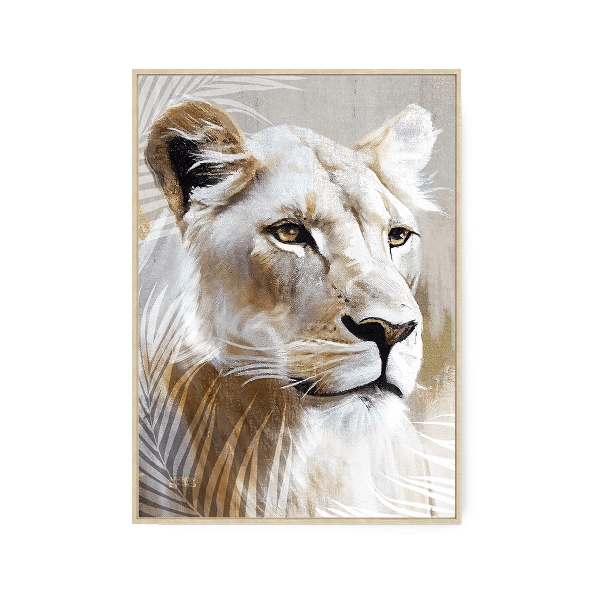 Framed Canvas FARIS 50x70