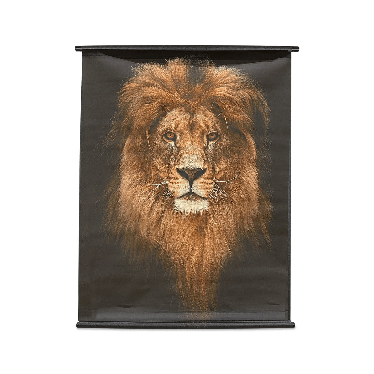 Posterdoek ABIDJAN Leeuw  Zwart/Bruin