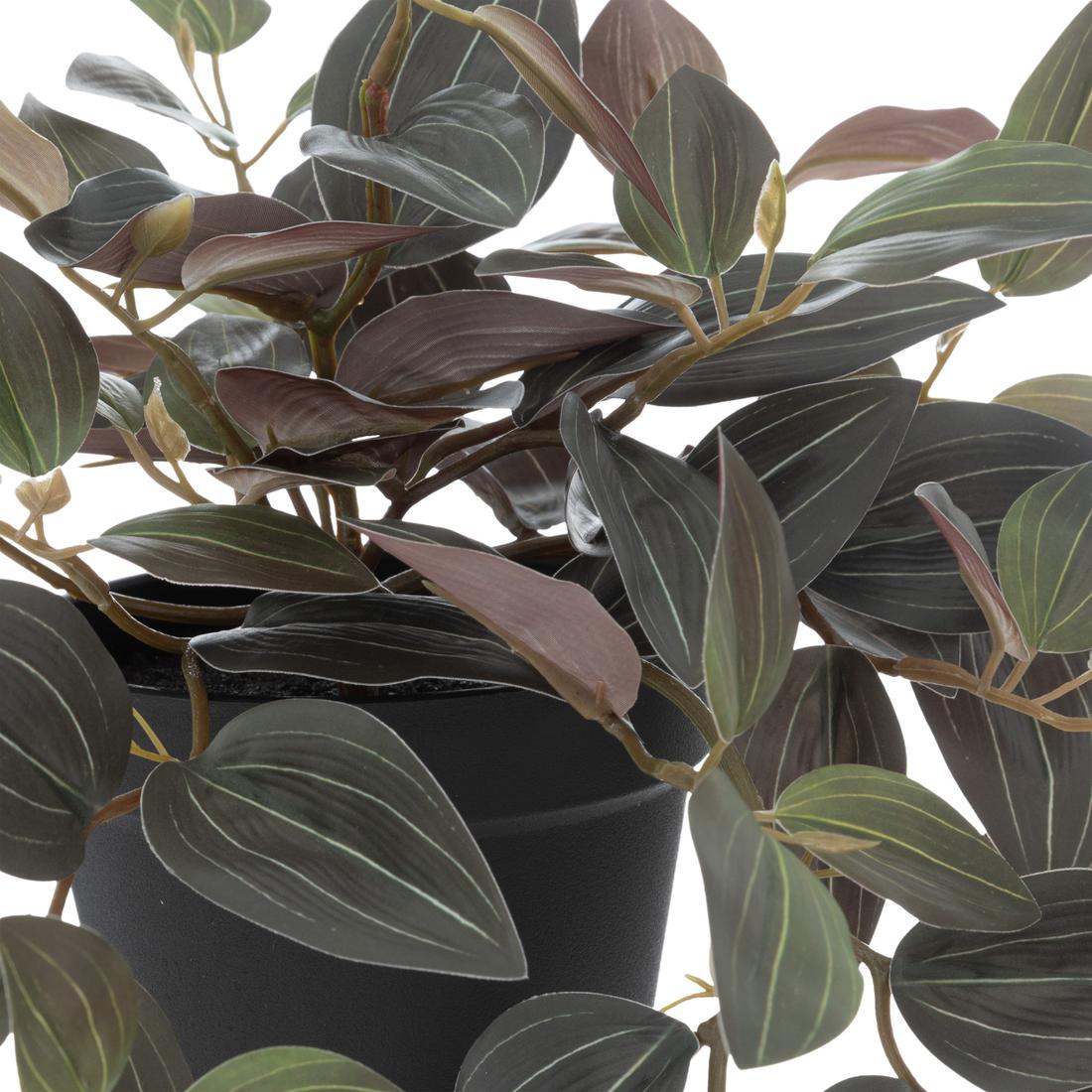 Artif. Plant TRADESCANTIA Groen Artif. Plant TRADESCANTIA Groen