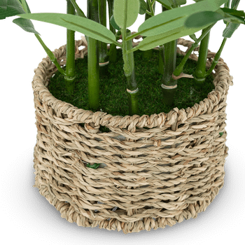 Artif. Bamboe BRODOU in Mand Nat. Artif. Bamboe BRODOU in Mand Nat.