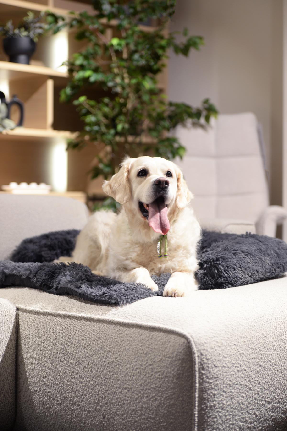 Hondendeken Sofa BOMMEL L Dk.Grijs
