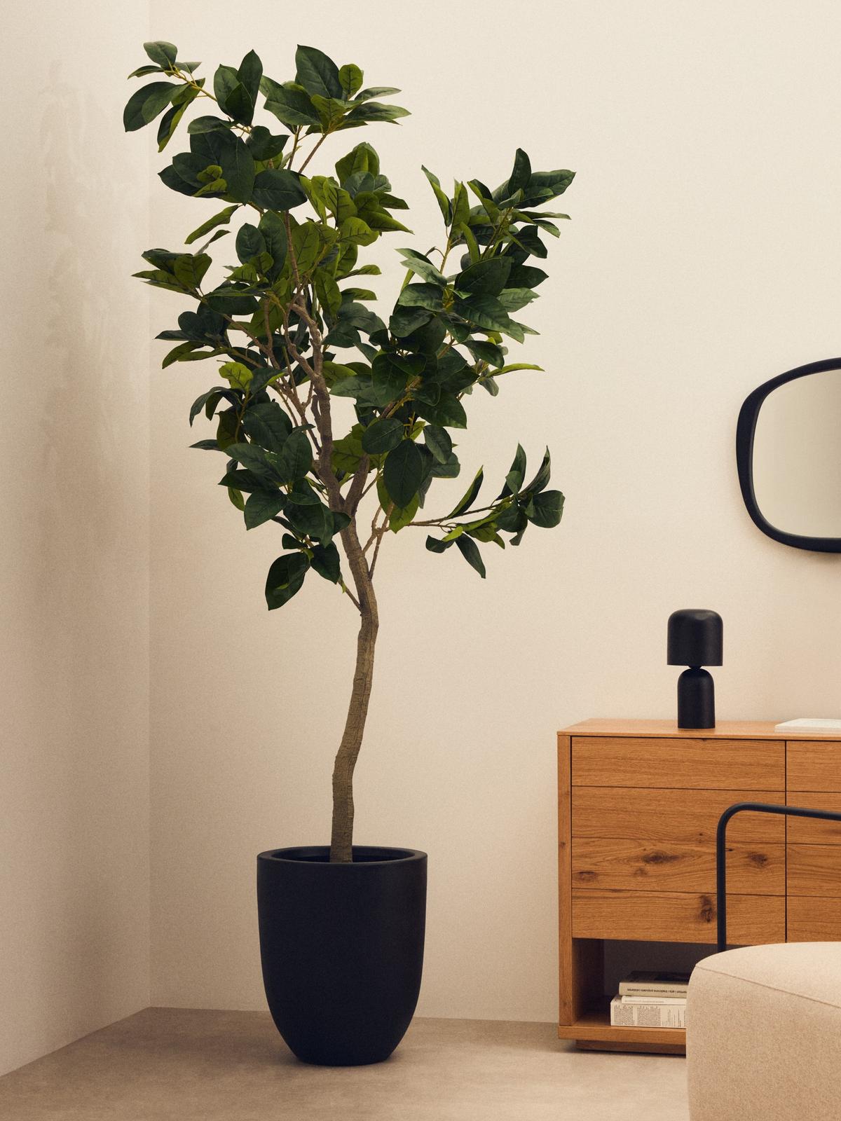 Kunstboom Ficus met zwarte pot 210 cm