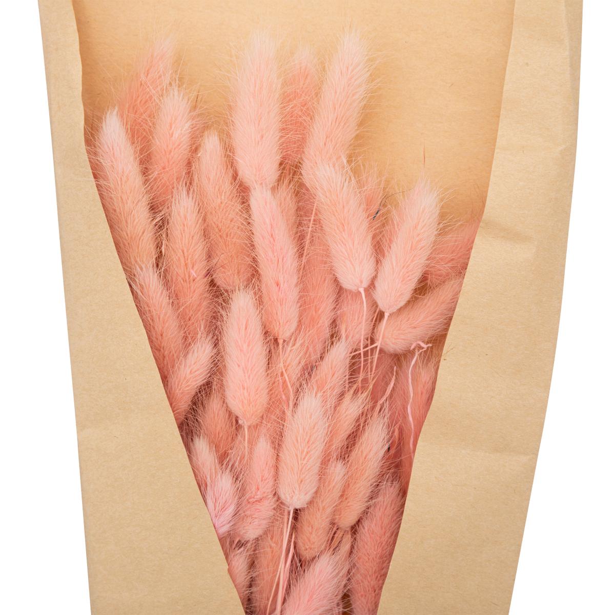 Bundel Droogbloem KORIAS Roze