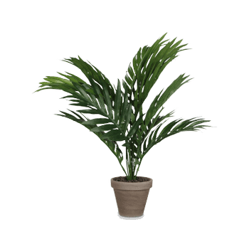 Artificiële Areca Palm Groen in Pot Stan Grijs Artificiële Areca Palm Groen in Pot Stan Grijs