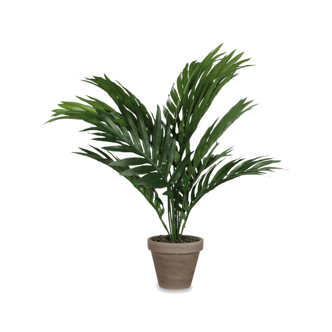 Artificiële Areca Palm Groen in Pot Stan Grijs Artificiële Areca Palm Groen in Pot Stan Grijs