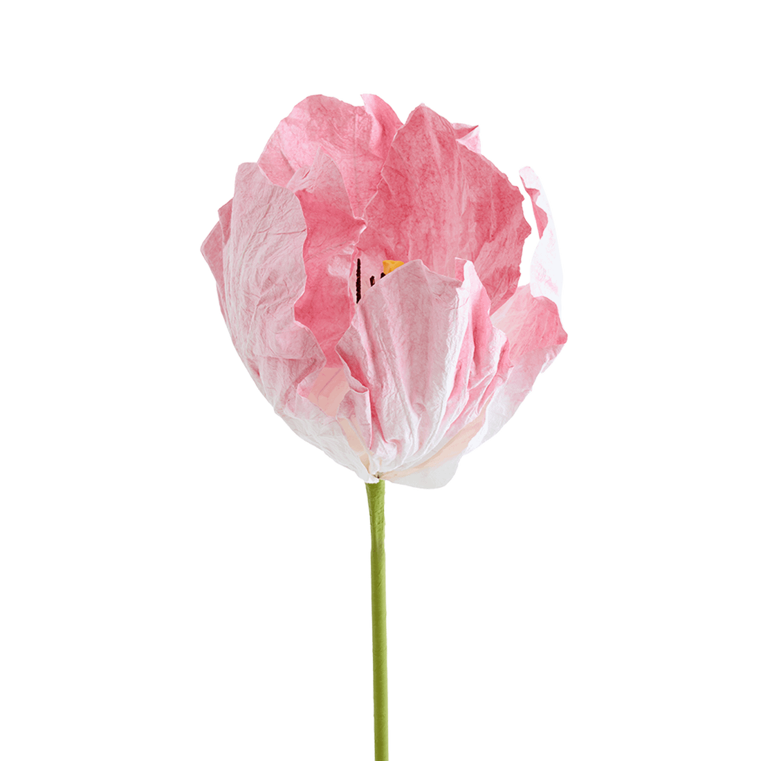 Bloem LOOK Papier Roze Bloem LOOK Papier Roze