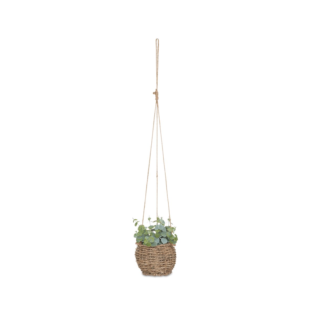 Artif. Hangplant ZOLIARI Groen Ass.