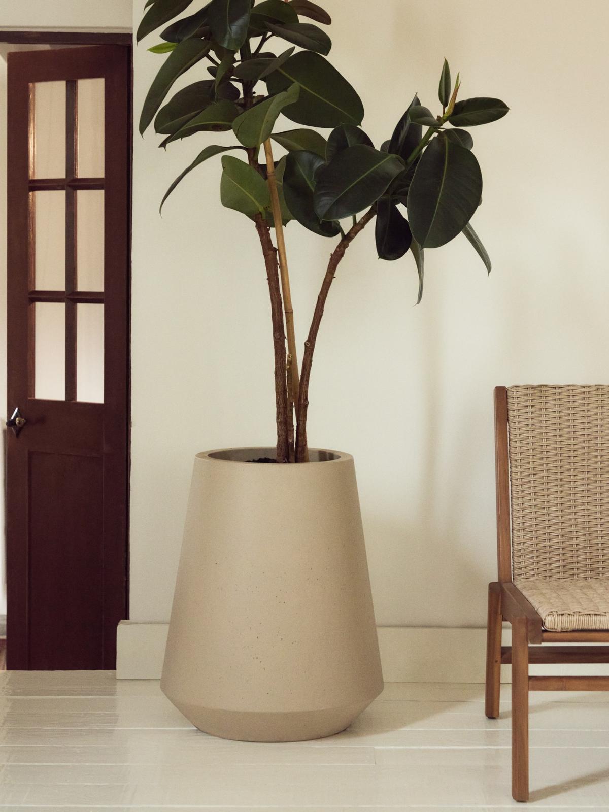 Calun beige bloempot van cement ⌀50 cm