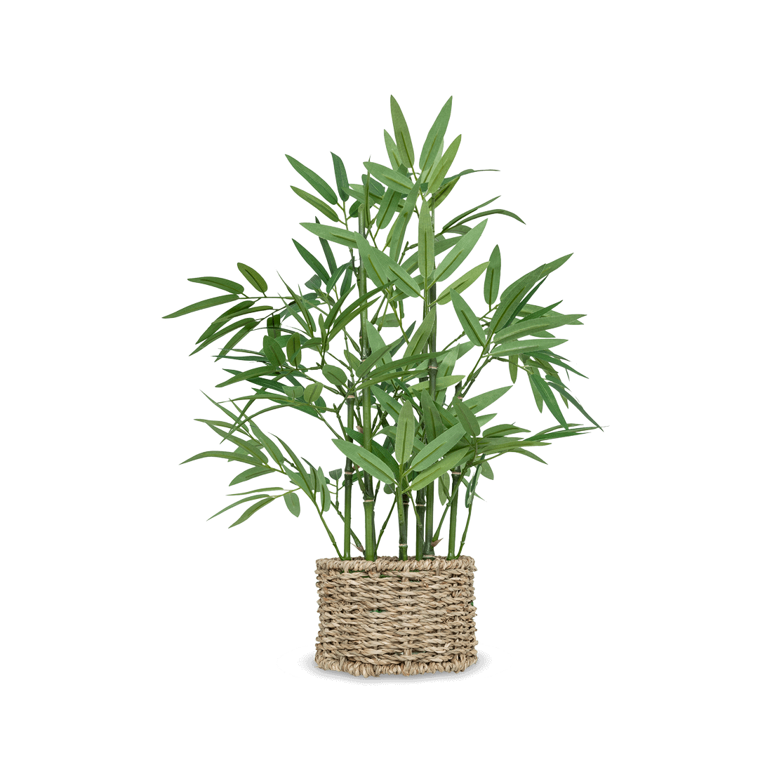 Artif. Bamboe BRODOU in Mand Nat. Artif. Bamboe BRODOU in Mand Nat.