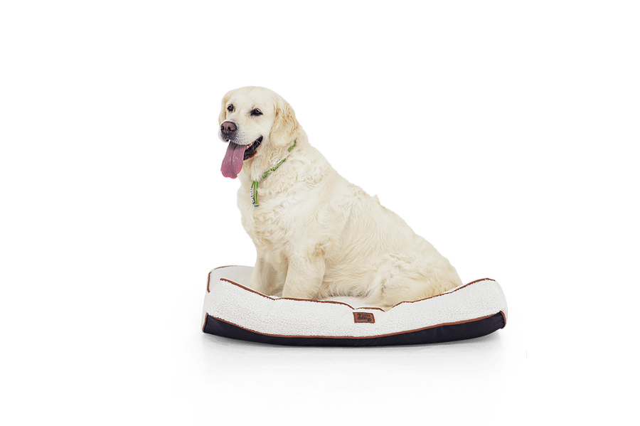 Dierenkussen WOOLY Rh. L Beige Dierenkussen WOOLY Rh. L Beige