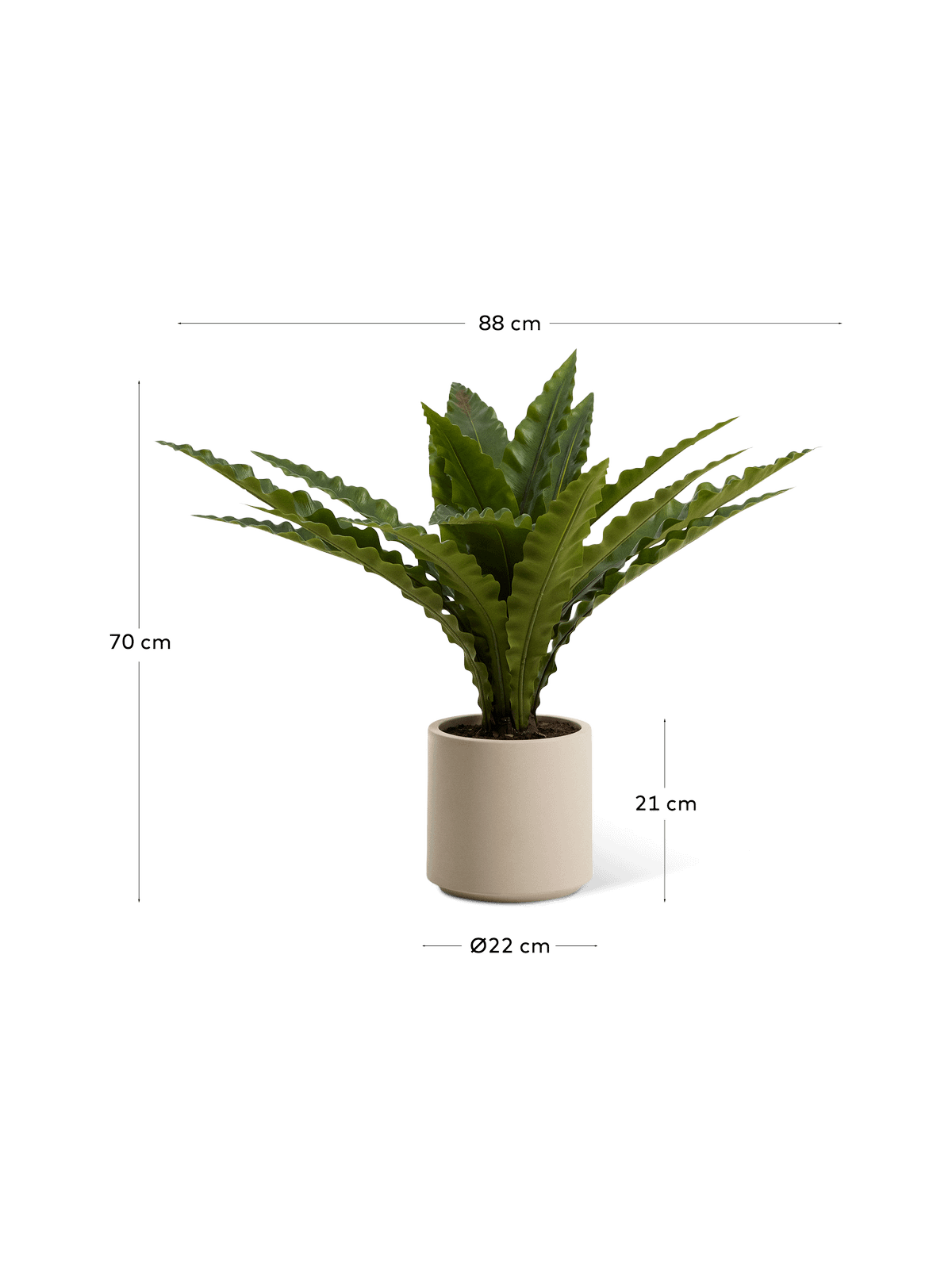 Kunstmatige neottopteris-plant met witte pot