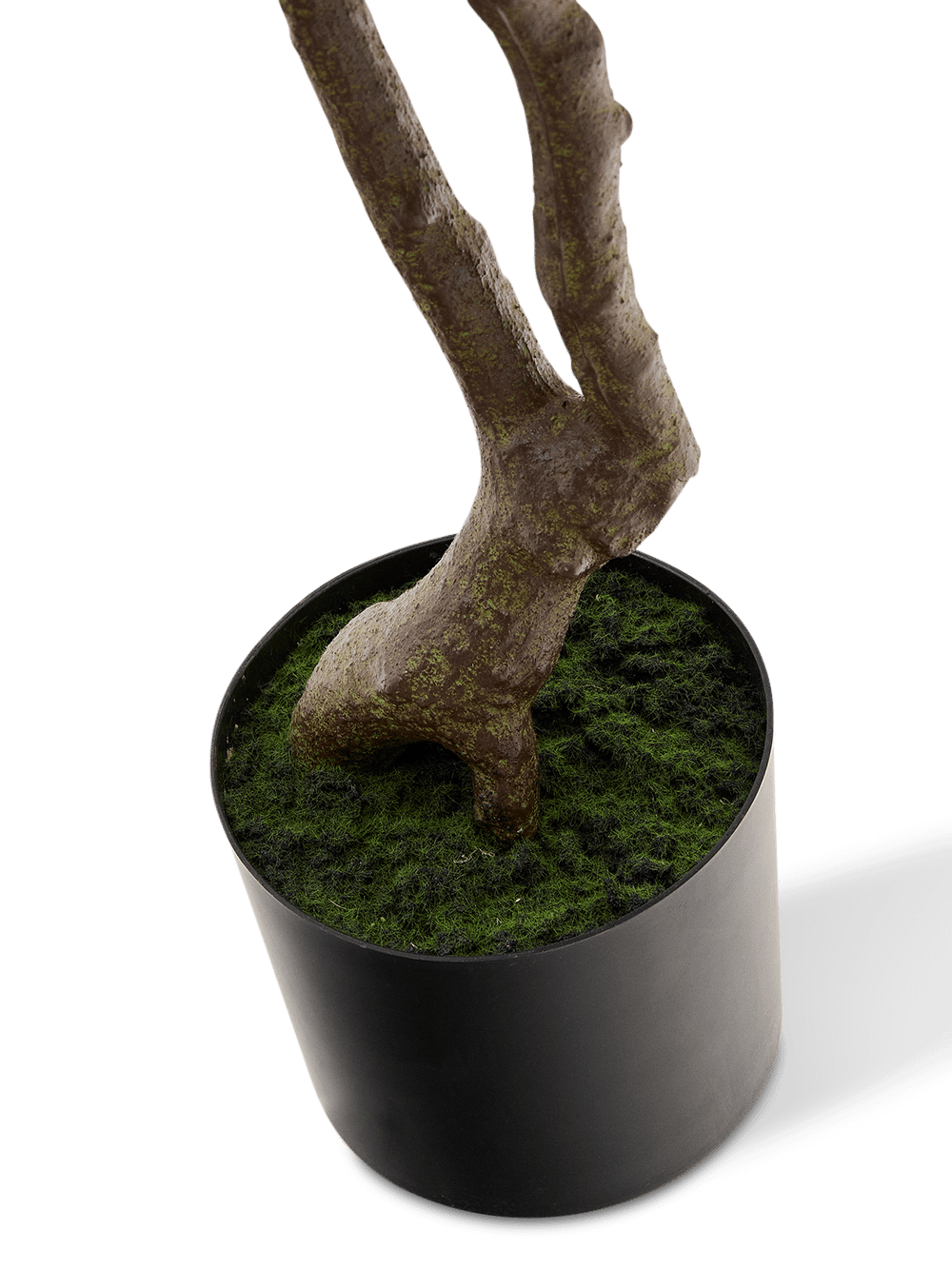 Kunstboom Pachira met zwarte pot 180 cm