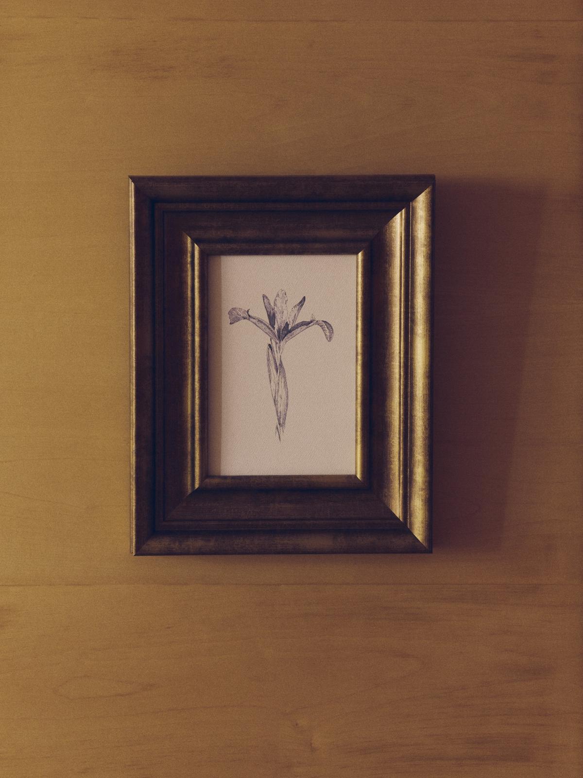 Yalira schilderij met botanische illustratie 33 x 41 cm