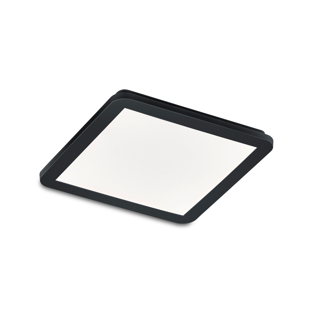 Plafonnier CAMILLUS Zwart Plafonnier CAMILLUS Zwart