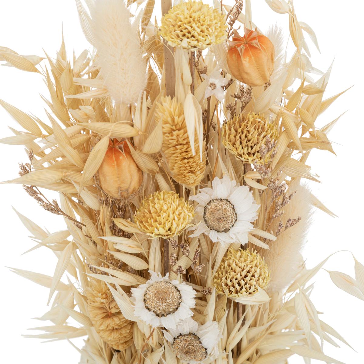 Droogbloemen SECHESSE Nat. in Pot Beige
