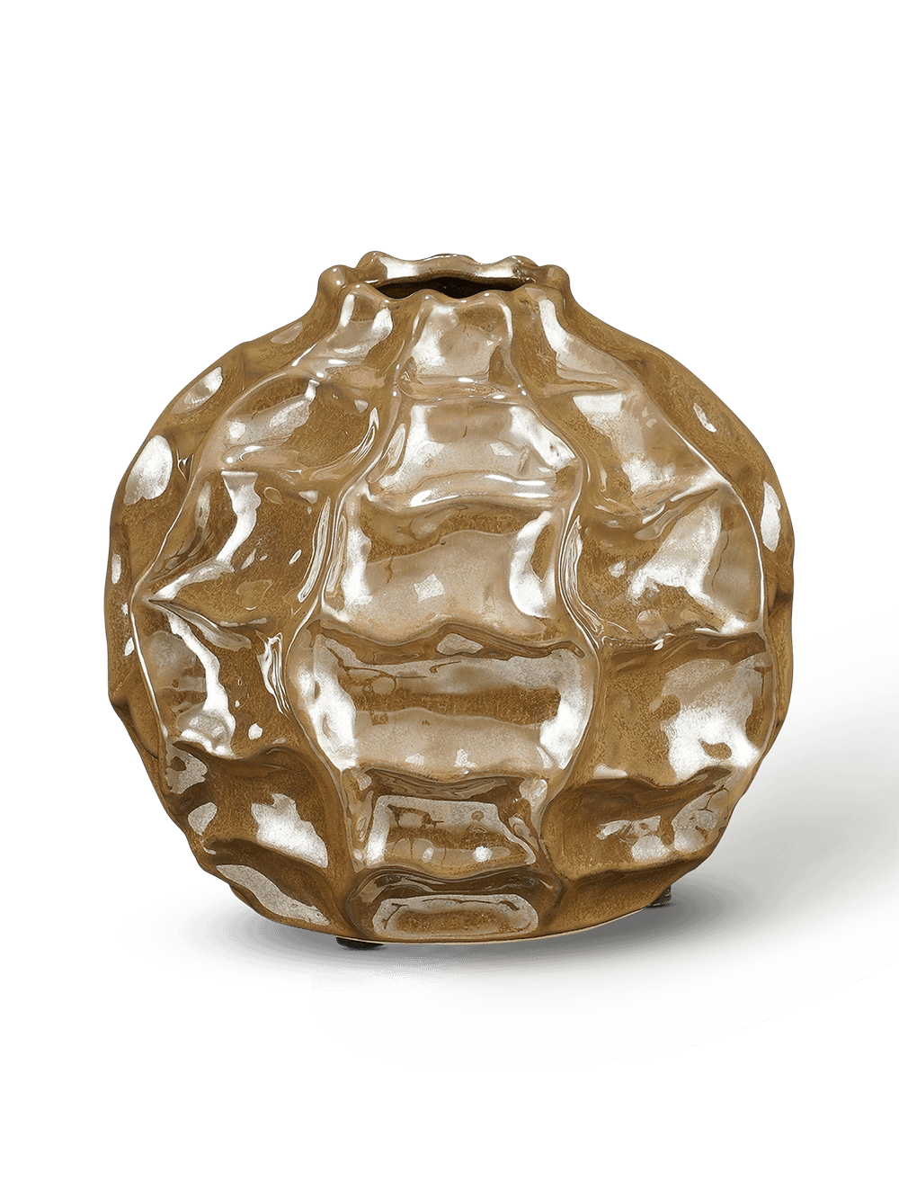 Vaas Abelard L Bruin