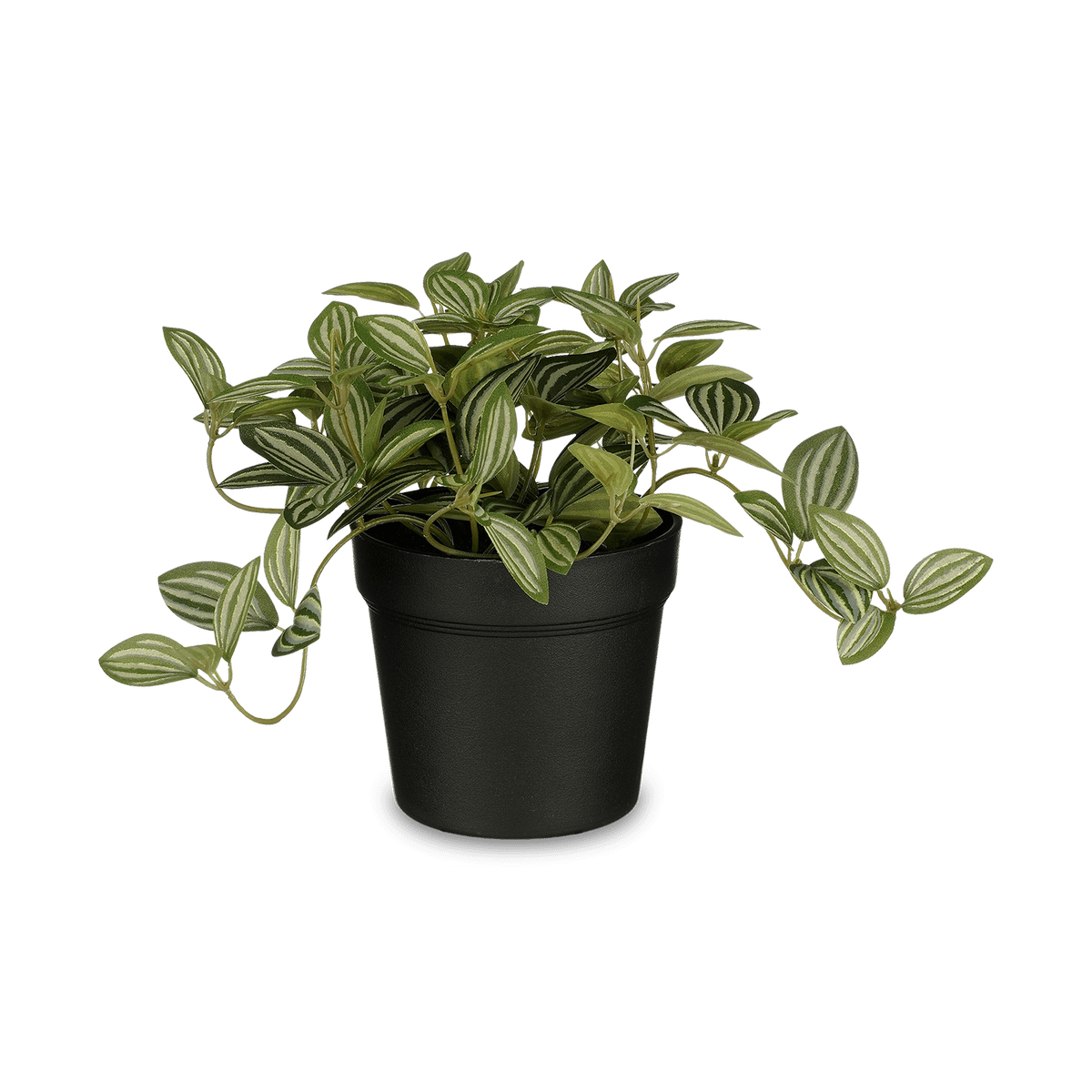 Artif. Tradescantia in Pot Groen
