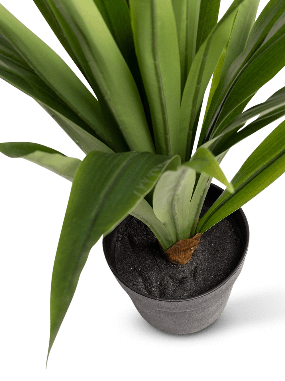 Kunstplant Yucca 80 cm