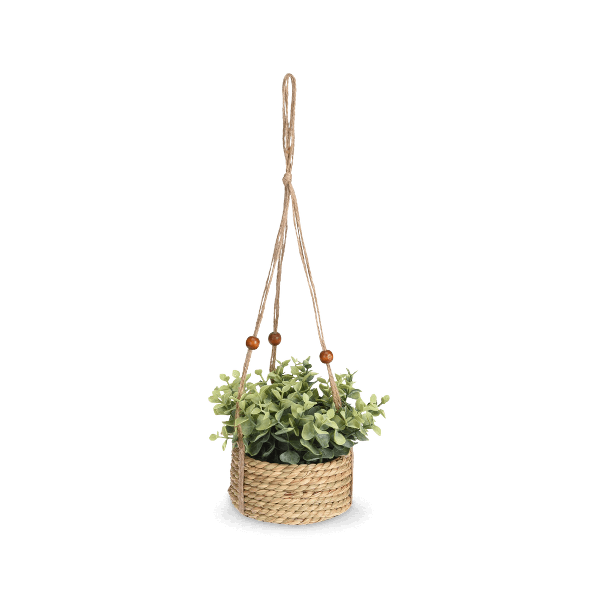 Hangplant KM Artif. in Mand Ass.