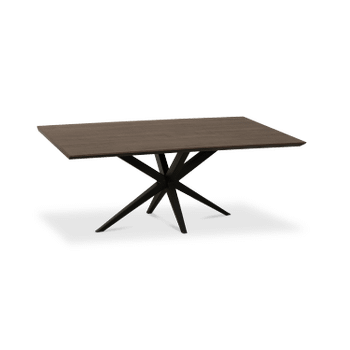 Eettafel ENCANTO Rechthoekig 160x90 Dark Mango Eettafel ENCANTO Rechthoekig 160x90 Dark Mango