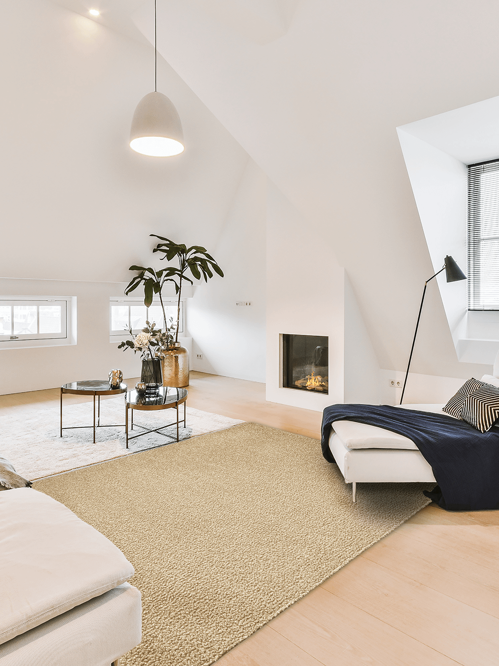 Tapijt Caligari Beige 160 x 230 cm