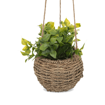 Artif. Hangplant ZOLIARI Groen Ass. Artif. Hangplant ZOLIARI Groen Ass.