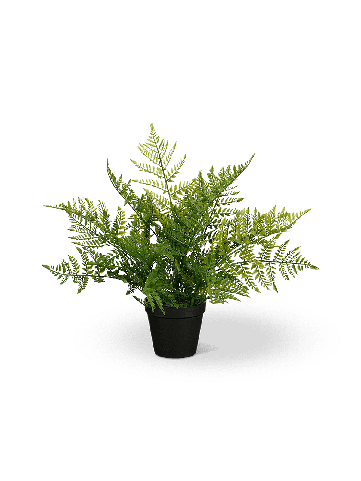 Artificiële varen in pot