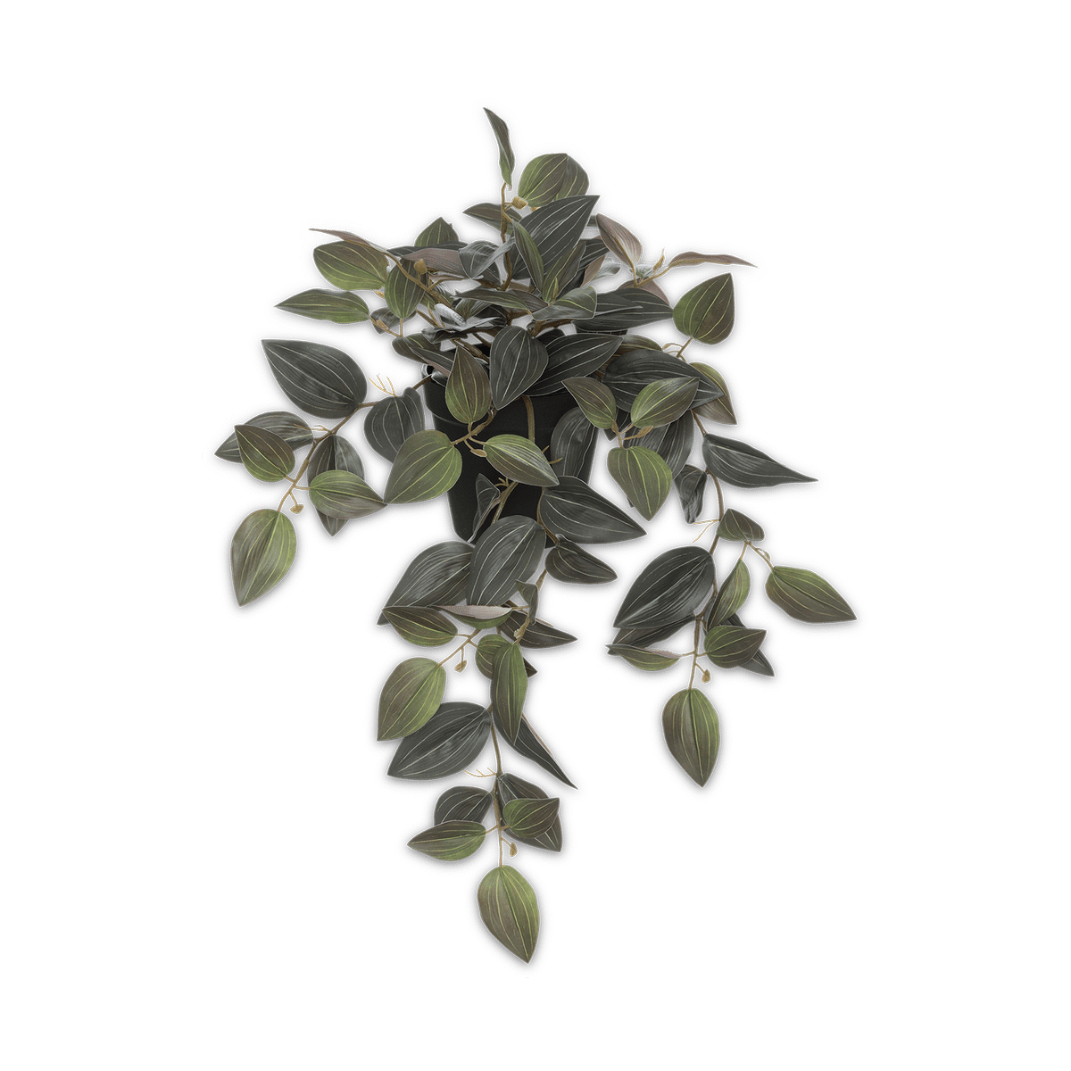 Artif. Plant TRADESCANTIA Groen
