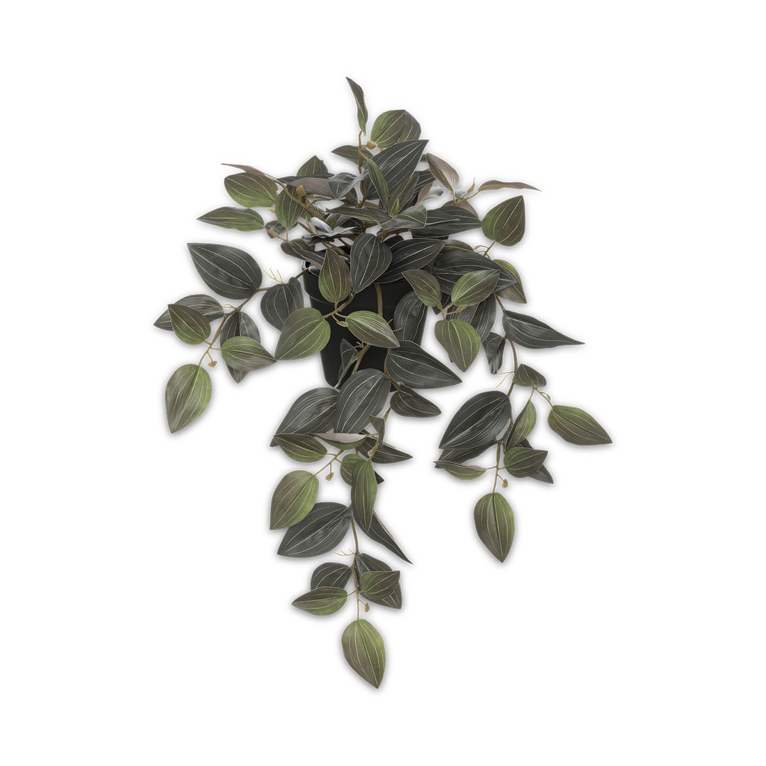 Artif. Plant TRADESCANTIA Groen Artif. Plant TRADESCANTIA Groen