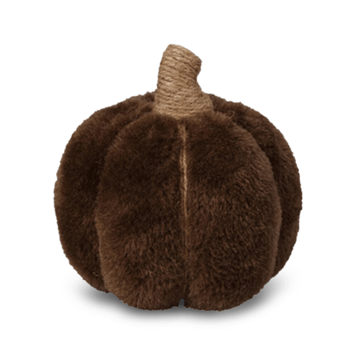 Pompoen ANNISA Teddy Bruin