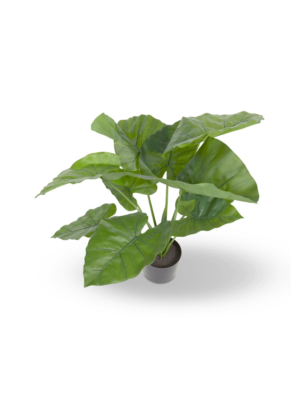 Kunstmatige Alocasia Odora met zwarte plantenpot 57 cm
