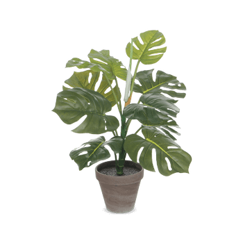 Artif. Monstera Groen in Pot Stan Grijs Artif. Monstera Groen in Pot Stan Grijs