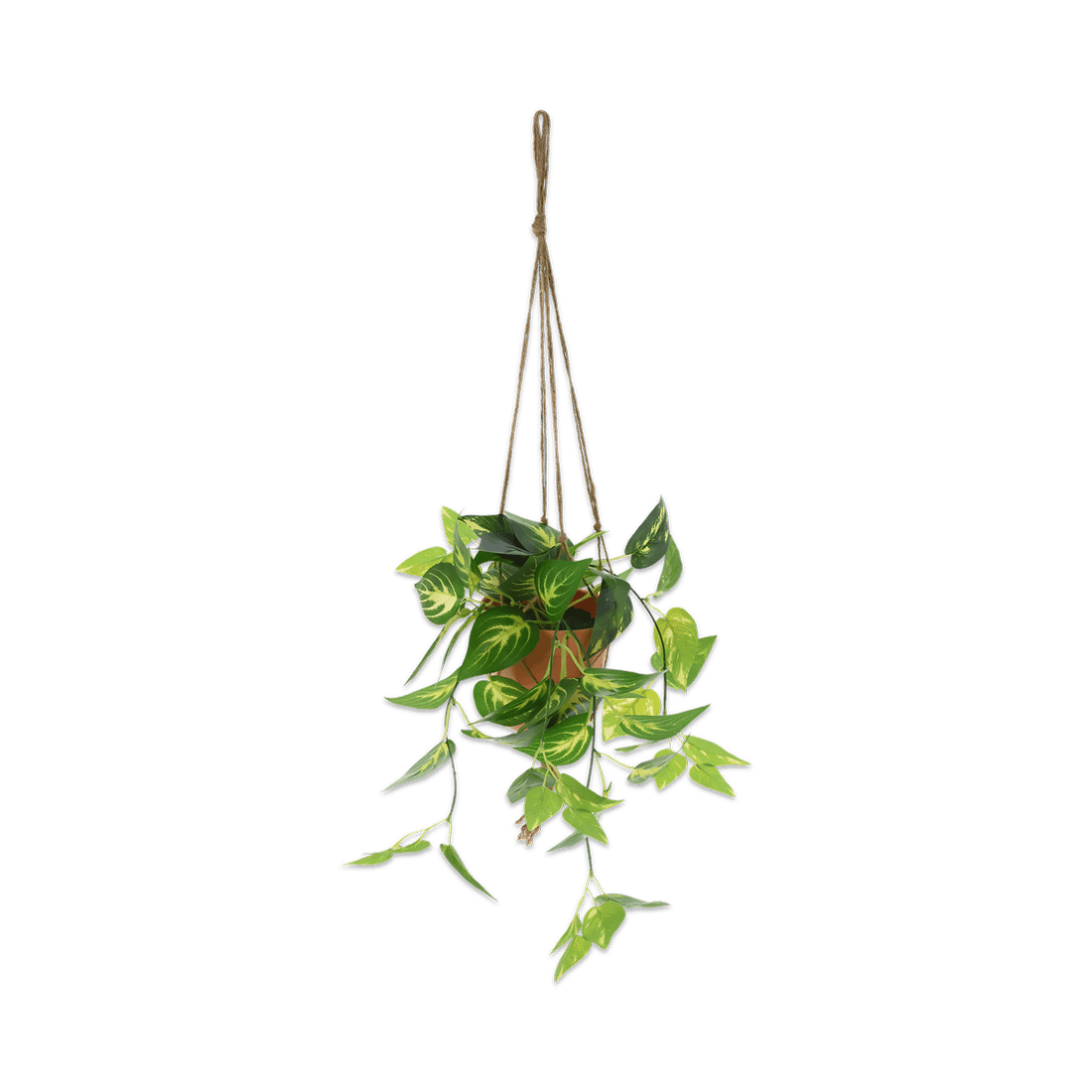 Artificiële Plant Hang. Pot Ter. Ass. Artificiële Plant Hang. Pot Ter. Ass.