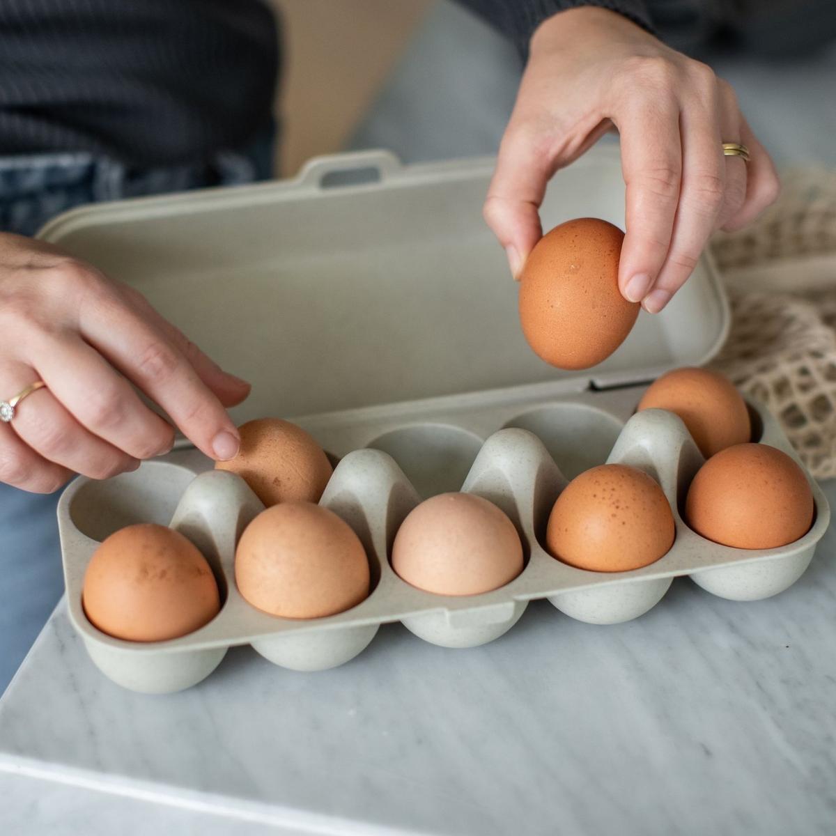 Eierdoos EGGS TO GO Nat. Desert Sand