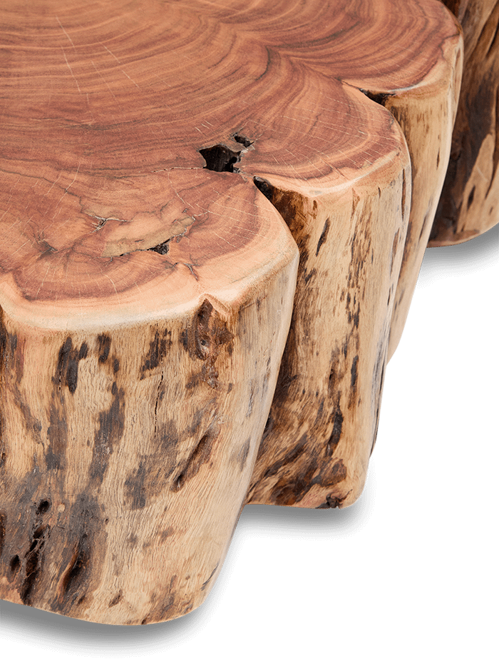 Salontafel Tavine Massief Acaciahout Op Wielen ⌀65