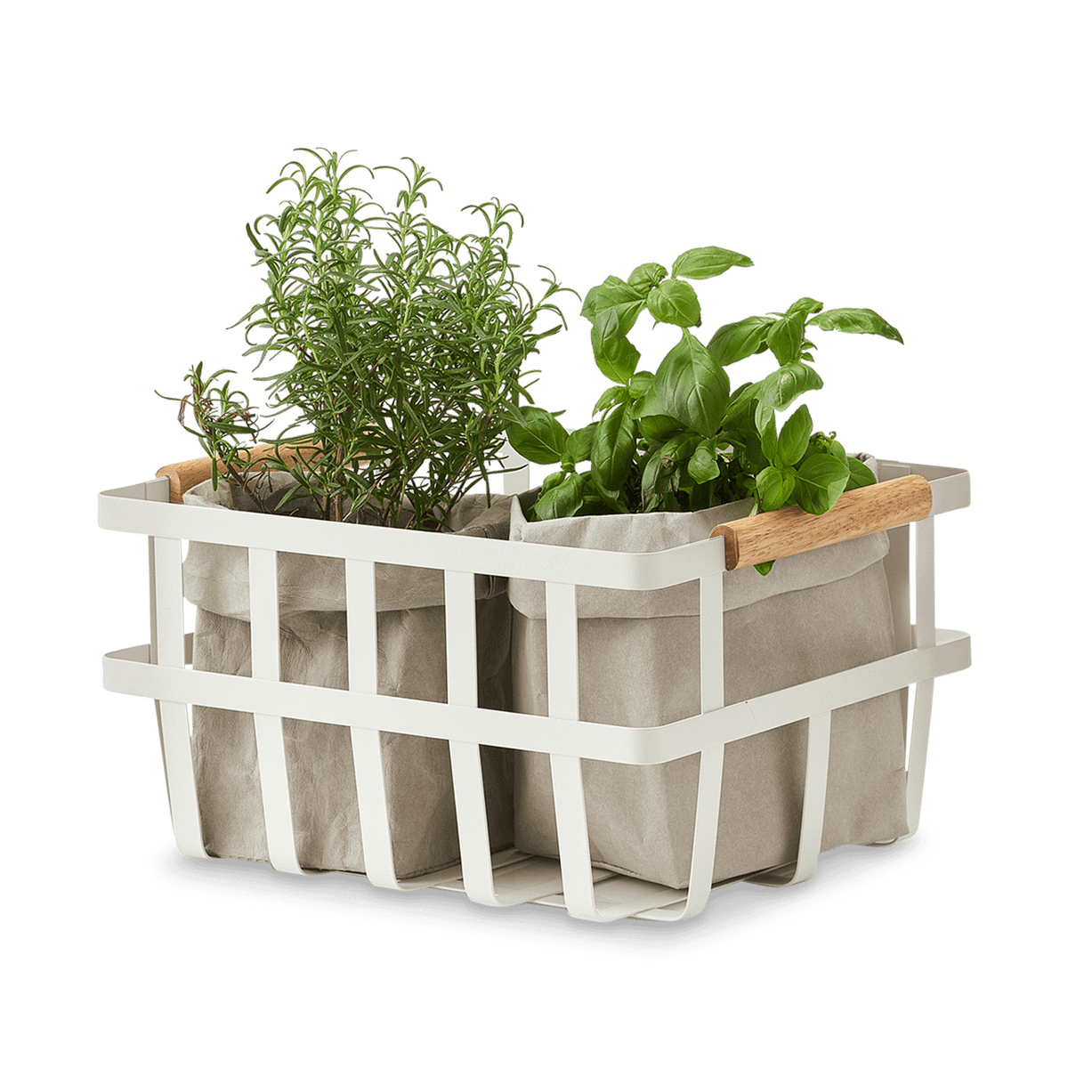 Mand WHIRT Met. Wit/Bamboe