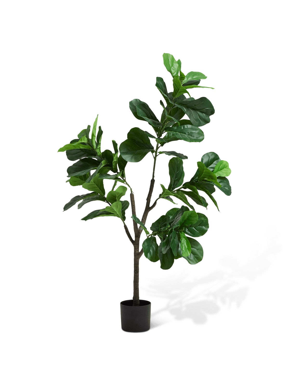 Kunstplant Ficus 150cm