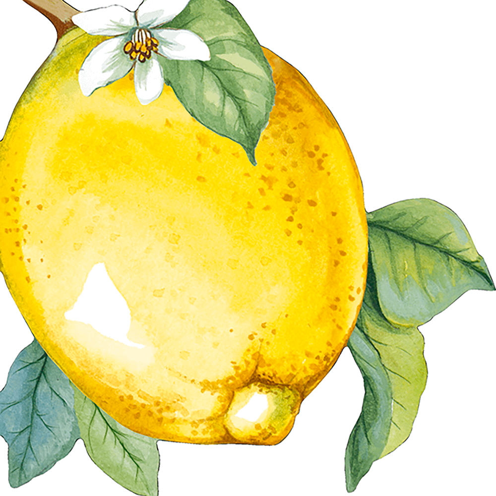S/12 Servet LEMON Citroen Geel