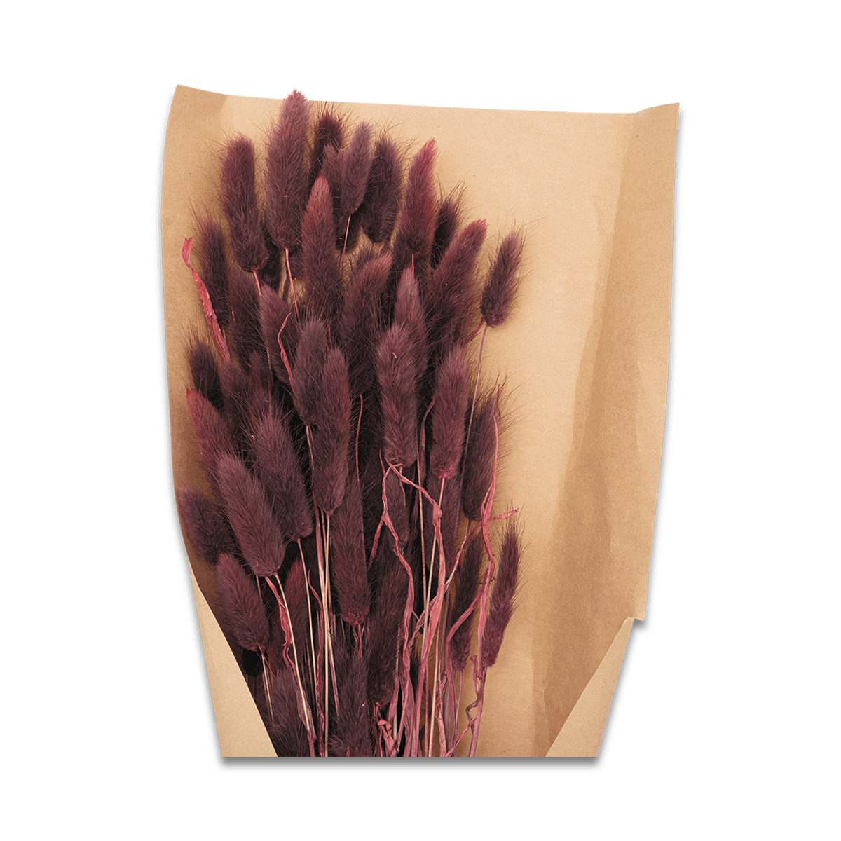 Bundel Droogbloem KORIAS Rood