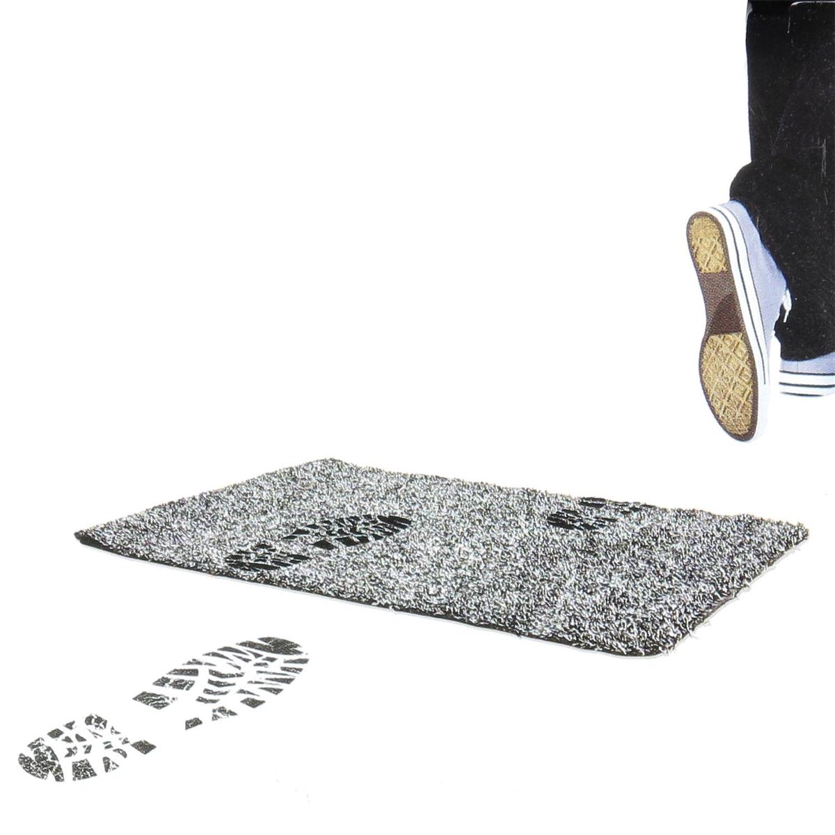 Schoonloopmat CLEAN MAT Ass.