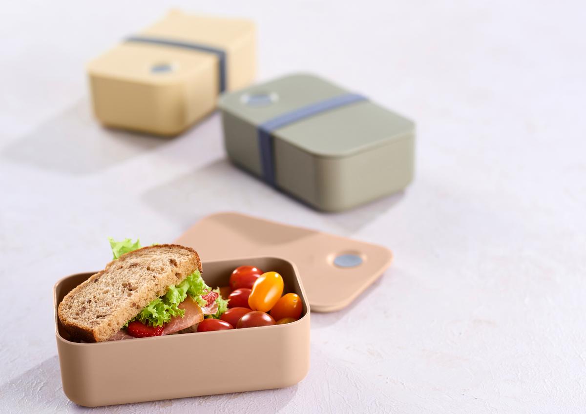 Lunchbox MYLLE Rh. 1000ml Ass.