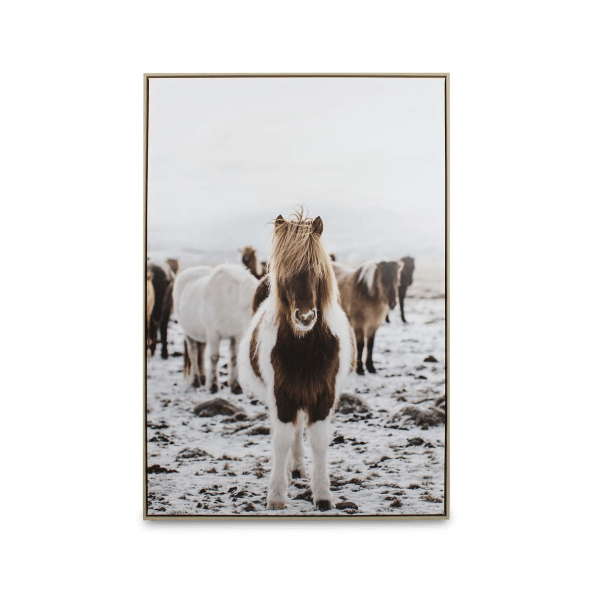 Framed Canvas TORBJORN Paard