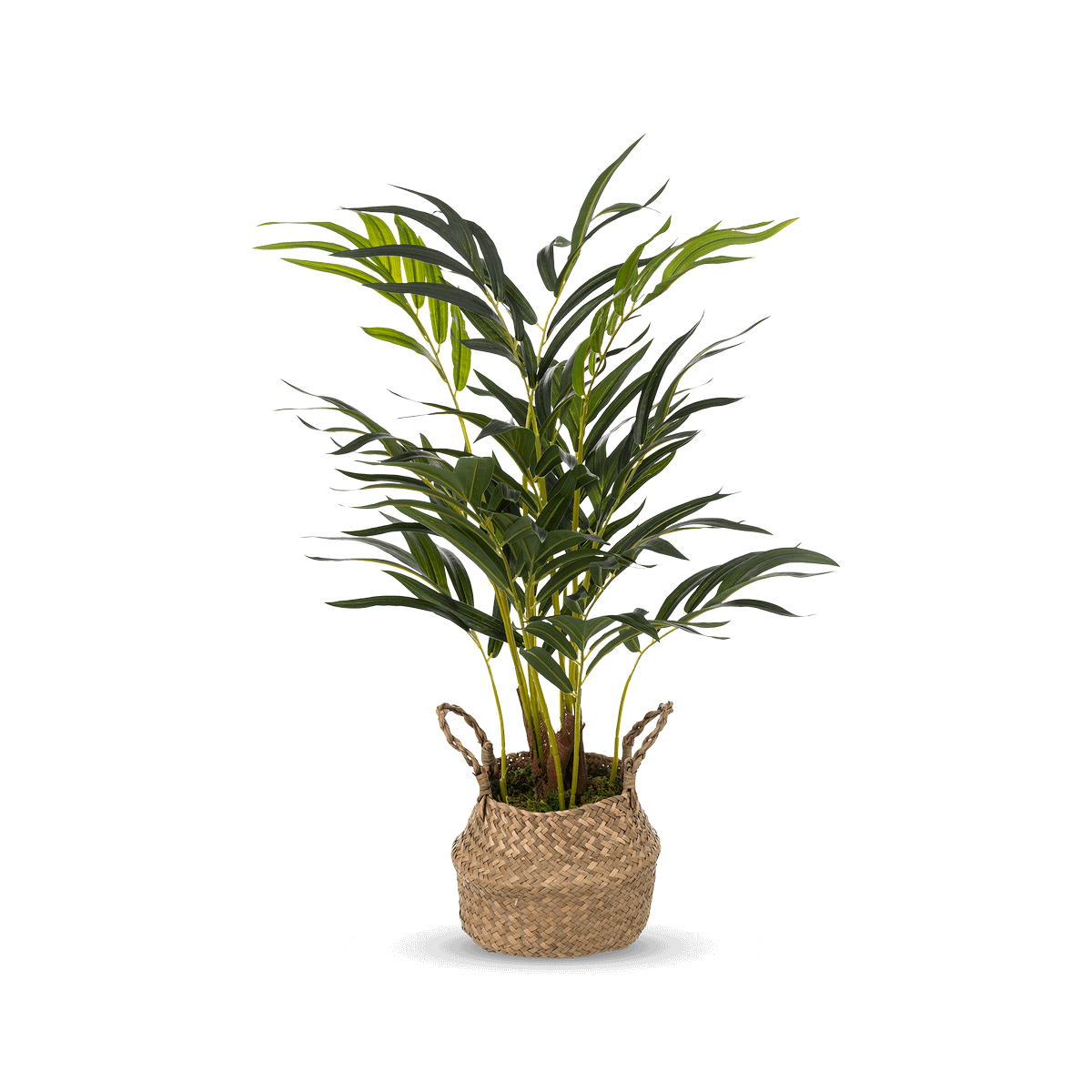 Plant Artif. PALMIER in Mand