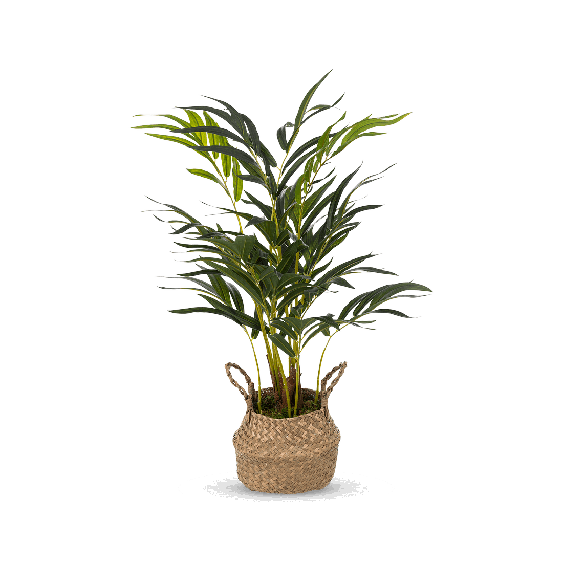 Plant Artif. PALMIER in Mand Plant Artif. PALMIER in Mand