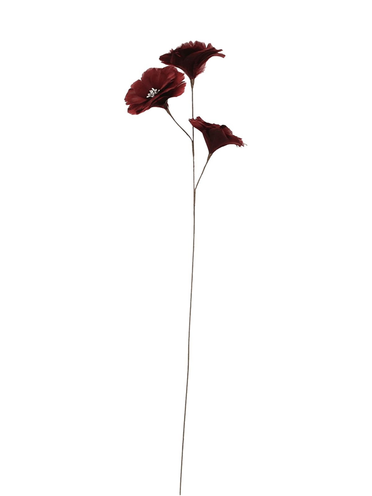 Decobloem Izabella 3Del. Terra