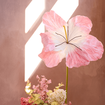 Bloem LOOK Papier Roze Bloem LOOK Papier Roze