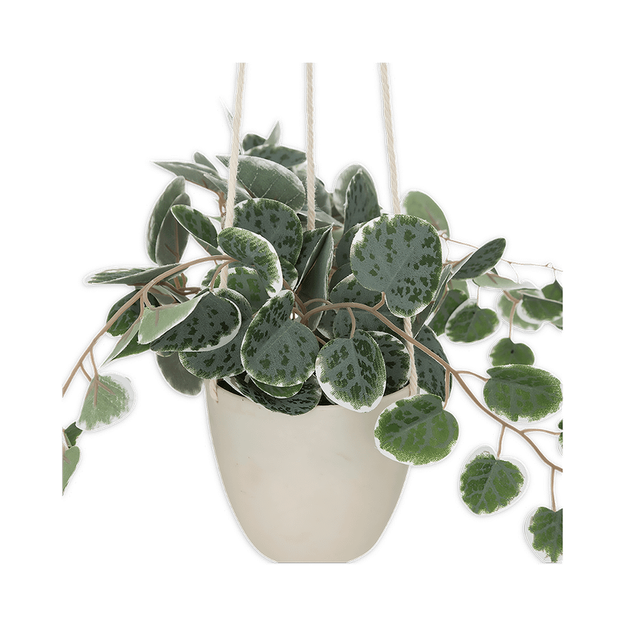 Artificiële Hangplant Lour Groen Artificiële Hangplant Lour Groen