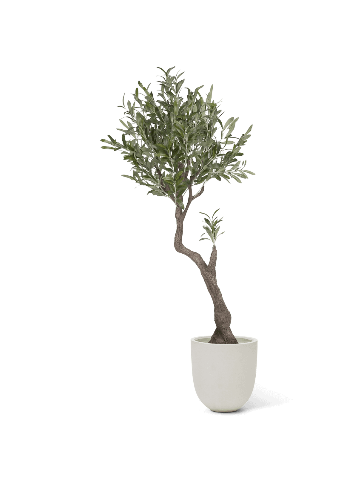 Kunstmatige Olijfboom met zwarte plantenpot